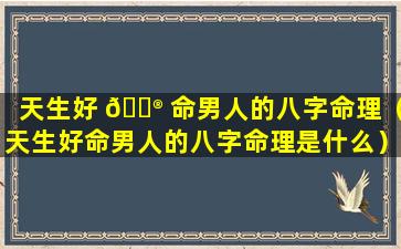 天生好 💮 命男人的八字命理（天生好命男人的八字命理是什么）